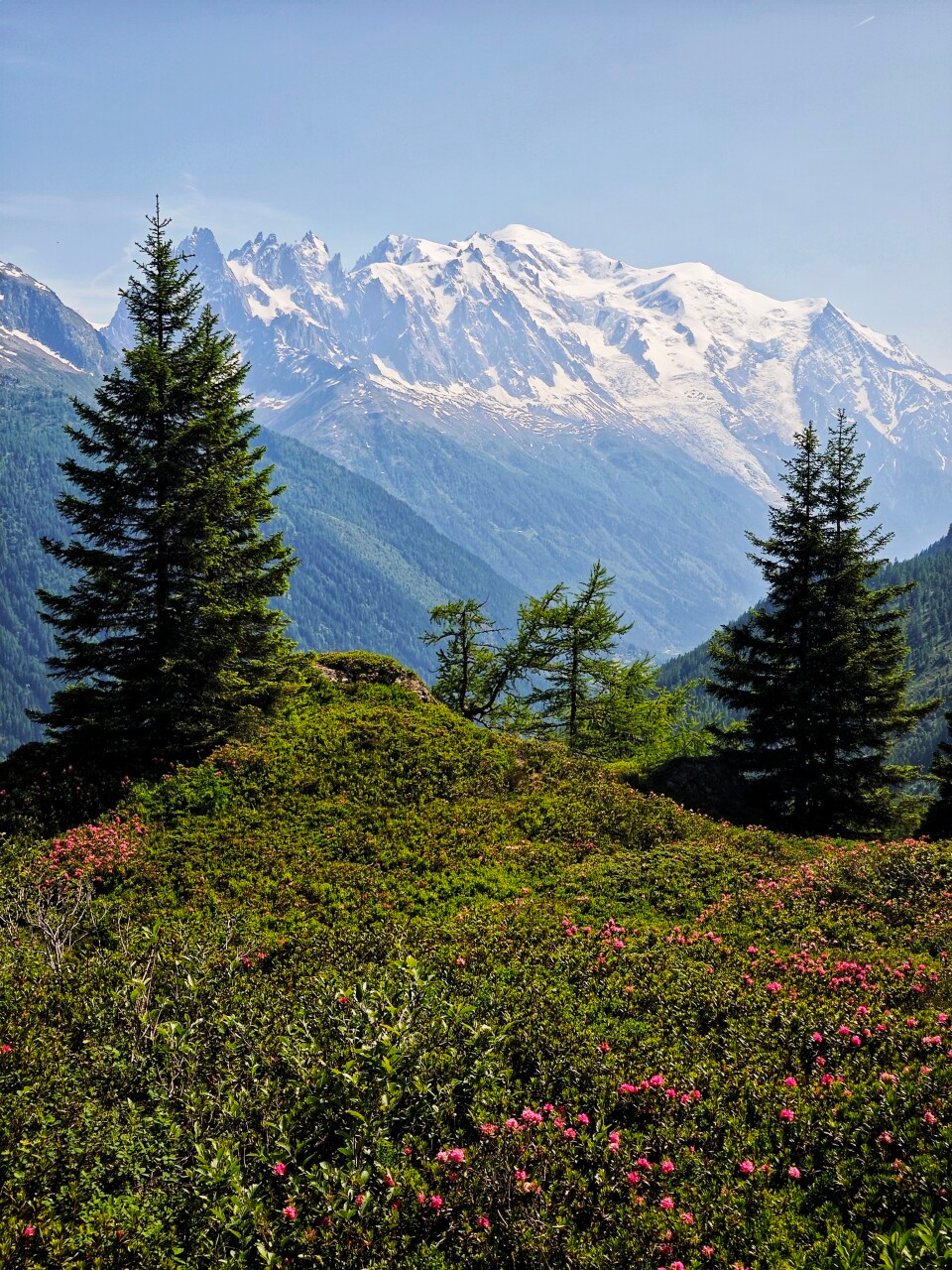 Les sommets du massif du Mont-Blanc au-dessus de la vallée de Chamonix.
